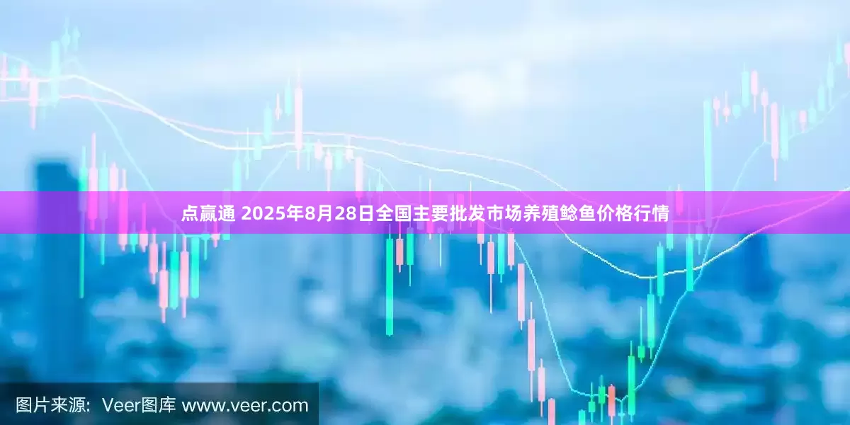 点赢通 2025年8月28日全国主要批发市场养殖鲶鱼价格行情