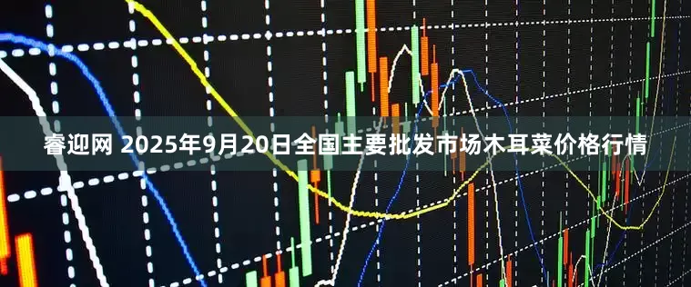 睿迎网 2025年9月20日全国主要批发市场木耳菜价格行情