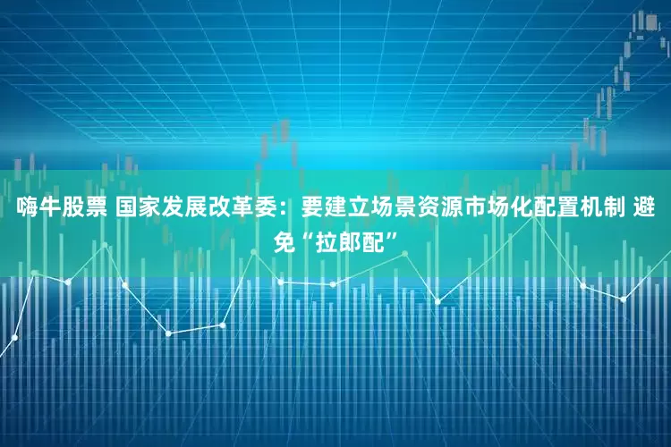 嗨牛股票 国家发展改革委：要建立场景资源市场化配置机制 避免“拉郎配”